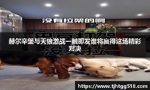 JJB竞技宝官网