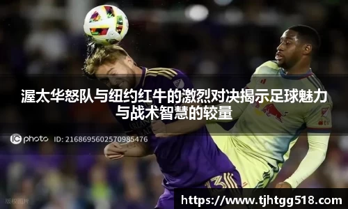 JJB竞技宝官网