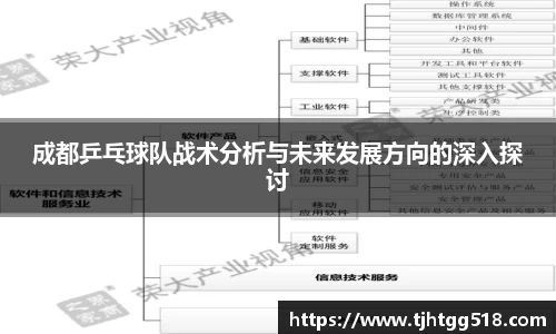 成都乒乓球队战术分析与未来发展方向的深入探讨