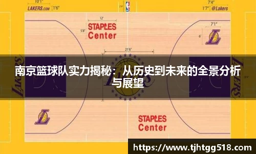 南京篮球队实力揭秘：从历史到未来的全景分析与展望